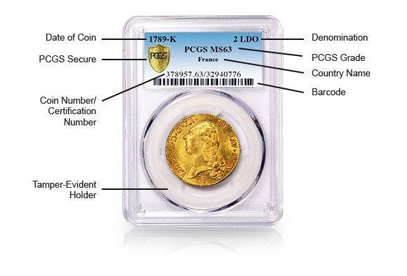 Professional Coin Grading Companies